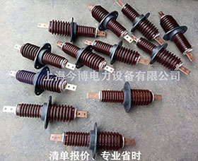 CWW-10/630a戶外高壓穿牆套管CWB-10/400a銅排瓷套管10KV~12kv用