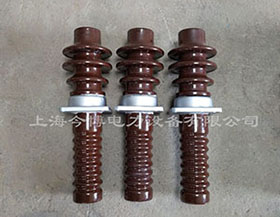 高壓穿牆套管CWB--10kv-60KV環（huán）保設備除塵用套管420mm長絕（jué）緣瓷套