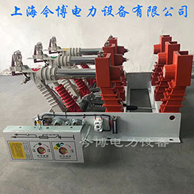 FKN12-24-630-20壓氣式負荷開關24KV高原（yuán）型