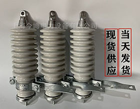 氧化鋅避雷器Y5WS-17/50金屬陶瓷氧化（huà）物避雷器