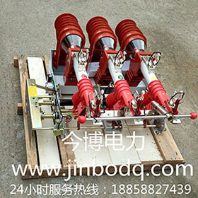 FN12-12RD/125-31.5負（fù）荷開關FN12-10RD 熔斷器式高壓戶（hù）內開關