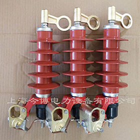 HY5WS-17/50DL-TB可（kě）卸式避雷器更換配件戶外高壓複合氧化鋅避雷器