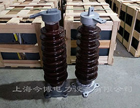RW5-35KV跌落式熔斷器陶（táo）瓷支柱35kv戶外高壓rw5-35/200a陶瓷（cí）支撐