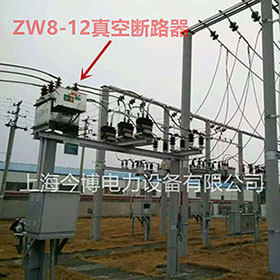 ZW8-12/630a高壓柱上真空斷（duàn）路器10KV